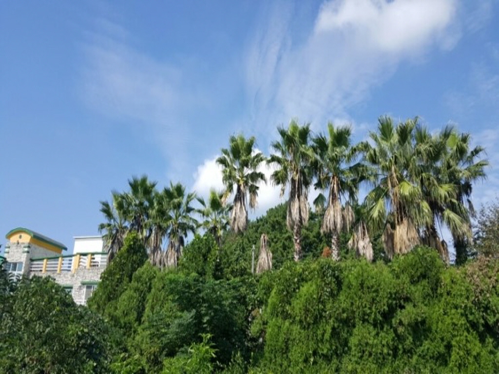 해피하우스 펜션