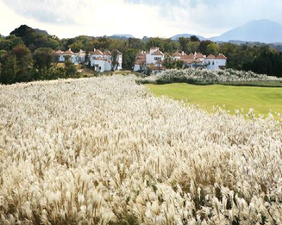 에코랜드골프텔