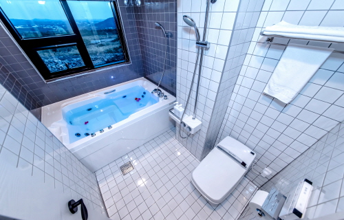 디럭스 스파 (20평형)