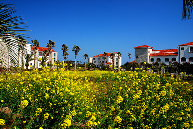 제주라사니아캐슬