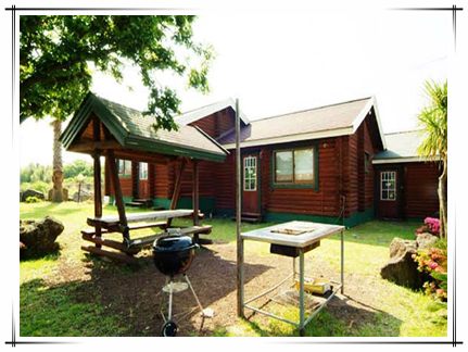 초록새록(구통나무아일랜드)