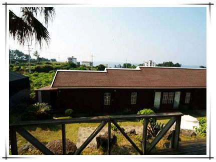 초록새록(구통나무아일랜드)