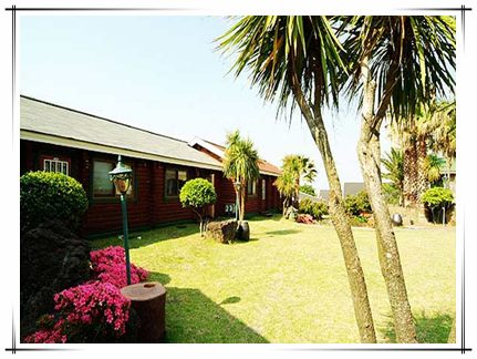 초록새록(구통나무아일랜드)